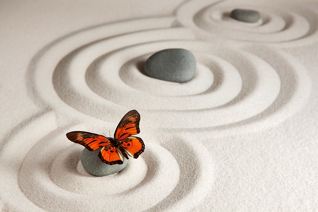 Contact zen, meditation, yoga, spirituality, butterfly, nature, minimalistic, buddhism, zen, zen, zen, zen, zen, meditation, meditation, yoga, yoga